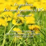 Common PMS Symptoms